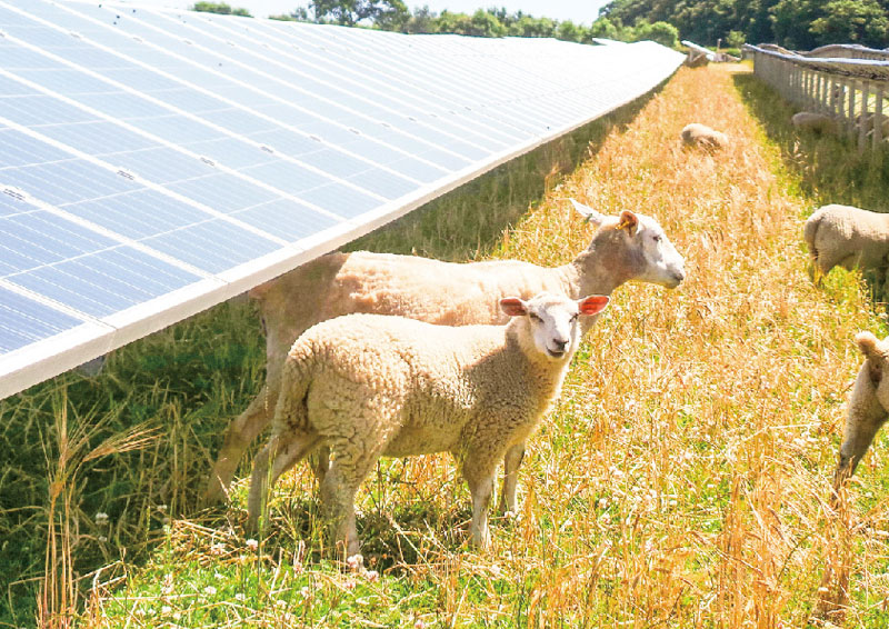 农光互补光伏支架
